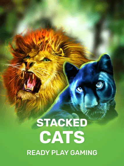 Stacked Cats