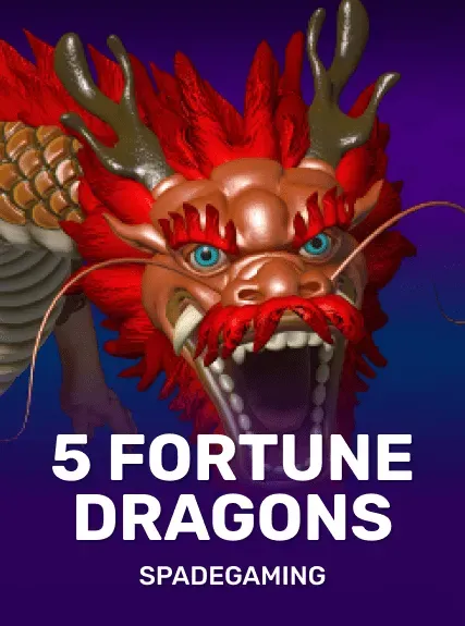 5 Fortune Dragons